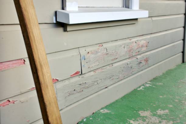 Best Custom Trim and Detailing for Siding  in USA
